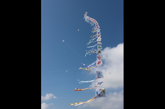 2023．11．4 Kite-Flying Fun Day
