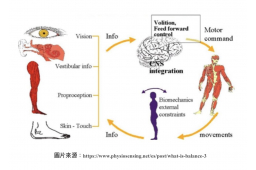 Sensory Input and Integration